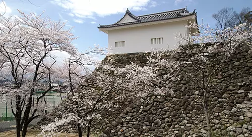 Ruines du château de Kameyama①