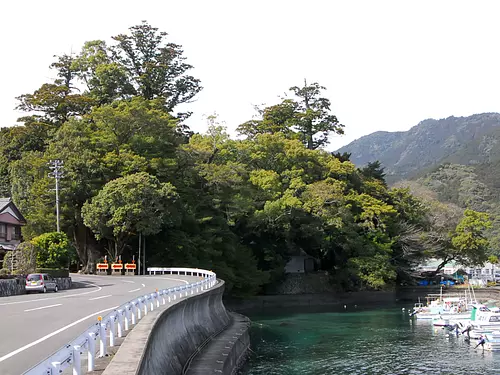 飛鳥神社樹叢