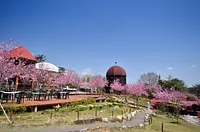 Enjoy the three ``open-air baths'' that take advantage of the landscape of the Satoyama area within the park, as well as the ``indoor bath'' where you can relax!