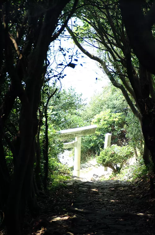 primer torii