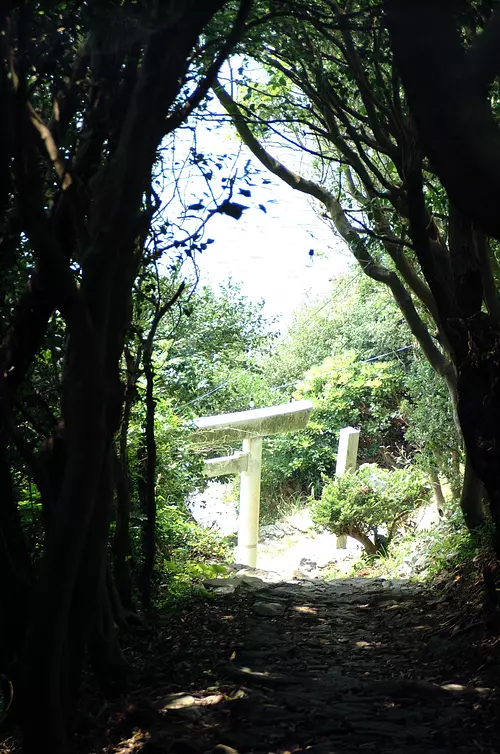 Premier Torii