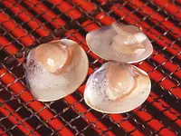Clam dishes