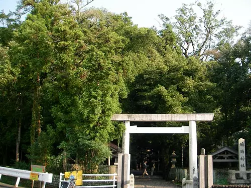 Shimakatsu Shrine trees