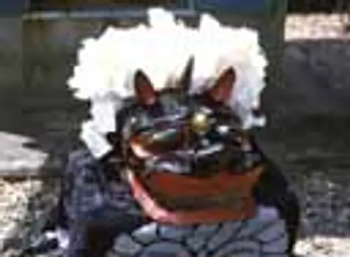 下久具の御頭神事