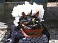 下久具の御頭神事