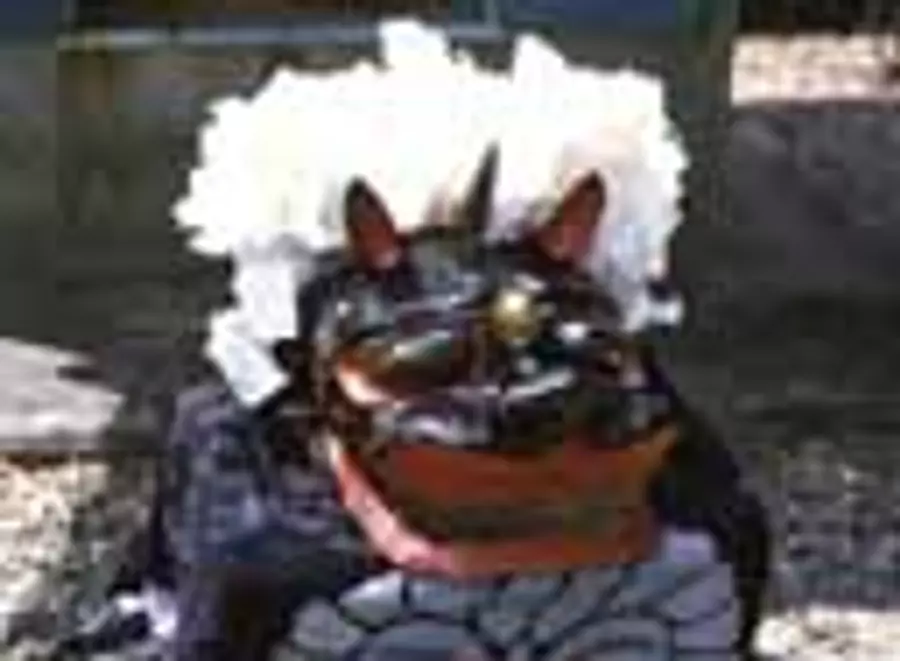 下久具の御頭神事