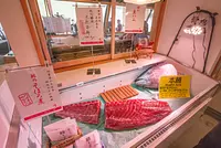 ปลาทูน่าวากิกุจิ (VISON)