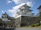 Castillo Iga Ueno