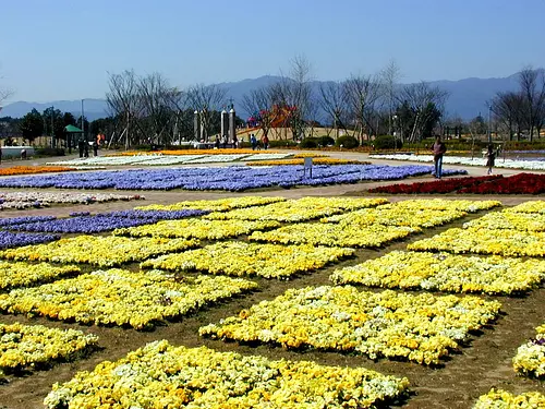 鈴鹿花卉公園