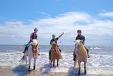 Sea Horse Riding Club El Cajo