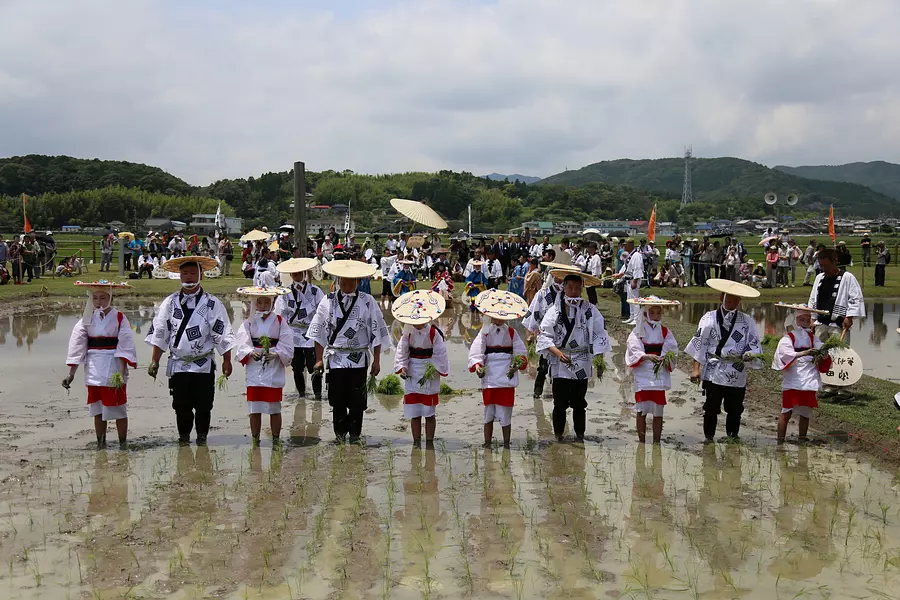 Ceremonia de plantación de arroz Izawanomiya [Ise Jingu Izawanomiya]