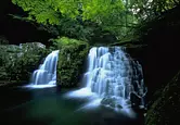 Vallée de la cascade d&#39;Akame Shijuhachi