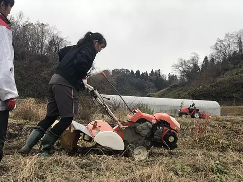 &lt;Nindo&gt; Certificado de voluntariado agrícola incluido