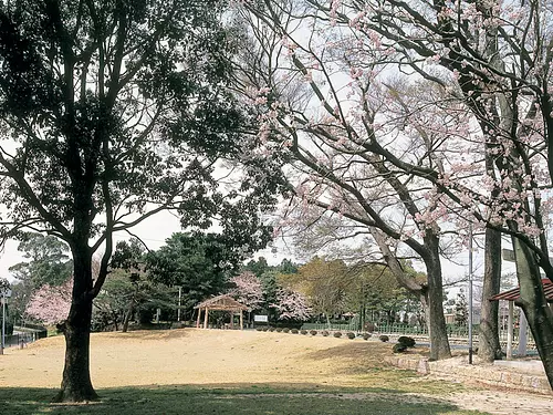 離宮院公園