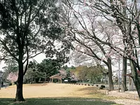 Rikyuin Park