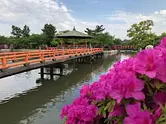 Festival de azaleas Parque Kyuka