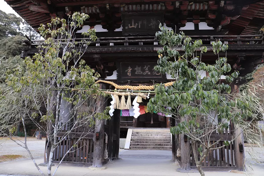 正月堂年越し参り