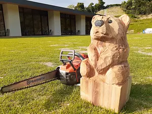 Beginners welcome! Chainsaw art experience