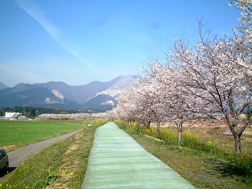 Spring Inabegawa Walkway