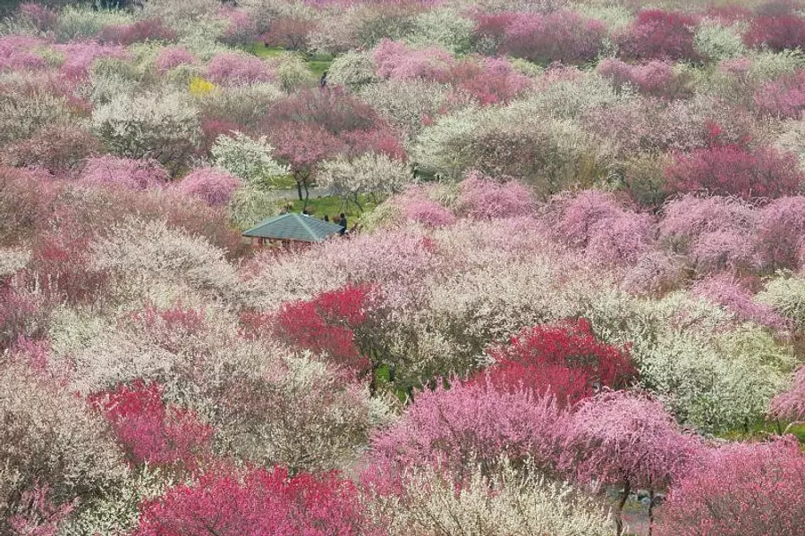 Parc agricole de la ville d&#39;Inabe