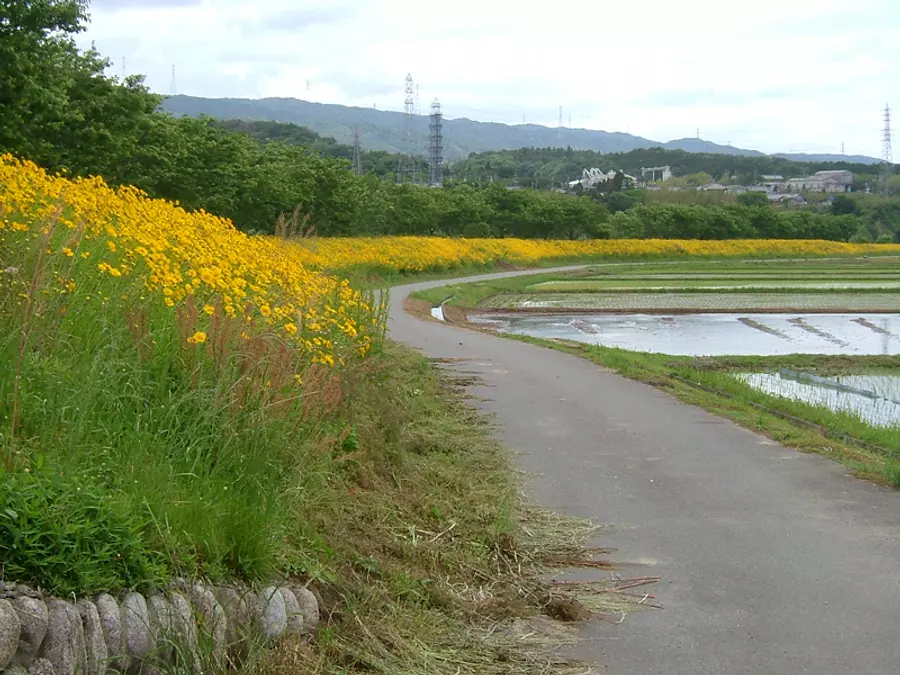 겐바가와 산책로