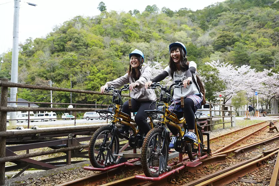 bicicleta de montaña sobre raíles 1