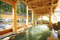 Baño al aire libre Yunoguchi Onsen