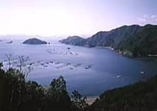 大紀町錦塩浜山村広場