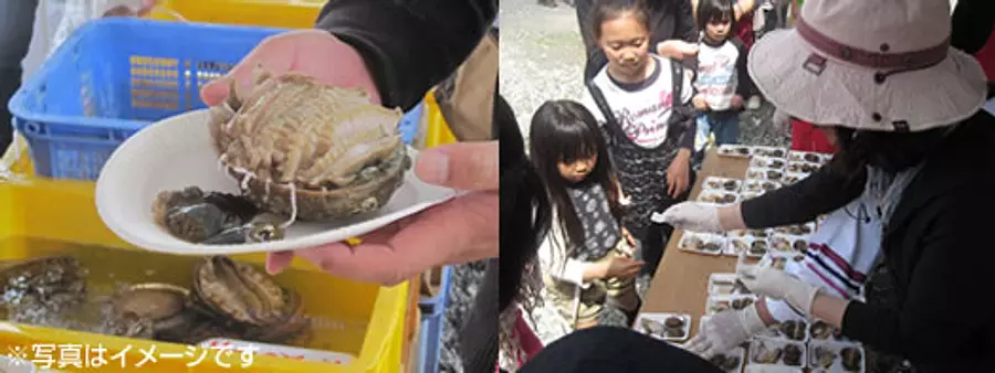 あわび王国まつり