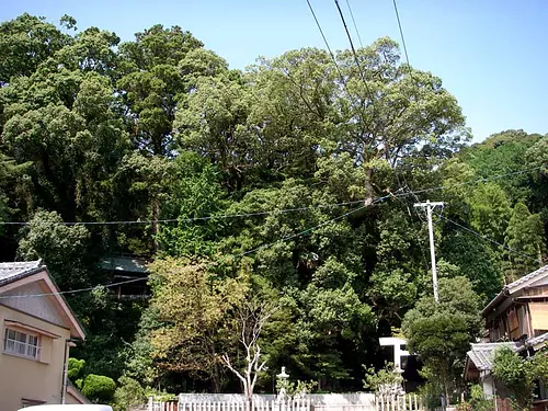 长岛（nagashima）神社神社建筑群