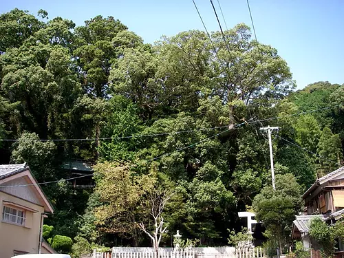 nagashima Shrine shrine complex