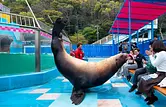 Aquarium Ise Meotoiwa Fureai (Paradis marin d&#39;Ise)
