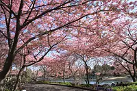 ナガシマリゾート 「デジタルフォトコンテスト」　　