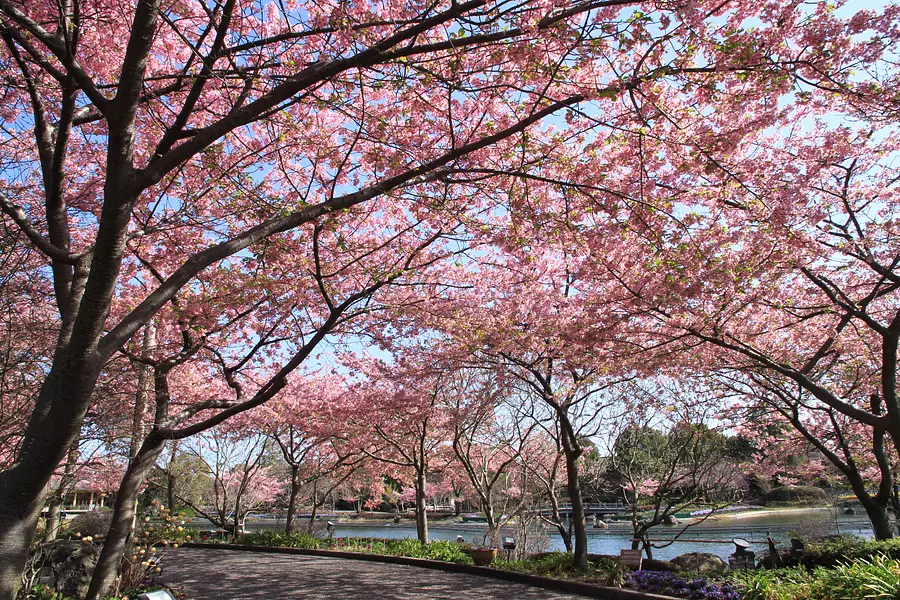ナガシマリゾート 「デジタルフォトコンテスト」　　