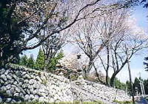 Ruines du château d'Okochi①