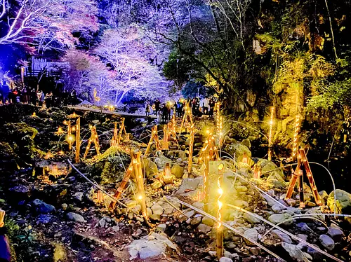 赤目四十八滝渓谷の新しいライトアップ 「幽玄の竹灯」は幻想的で別格の美しさ！