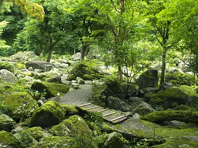 波瀬植物園②