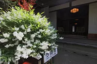 사사키 노부즈나 기념관의 꽃
