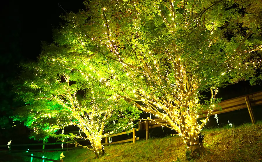 梅納德青山度假村（MenardAoyamaResort）亮燈