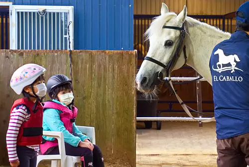 Salutations avec le cheval