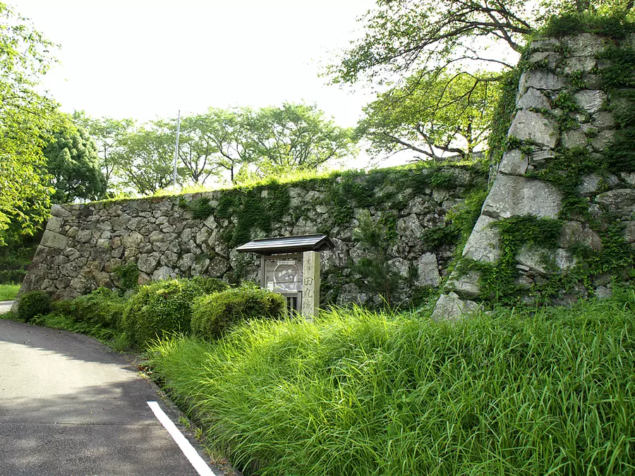 Tamaru Castle Ruins