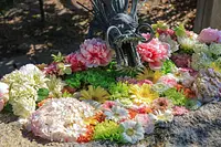 Eau florale pour les mains au sanctuaire Yato Kaki