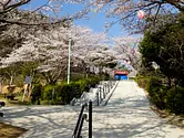 쓰 쿠라쿠 공원