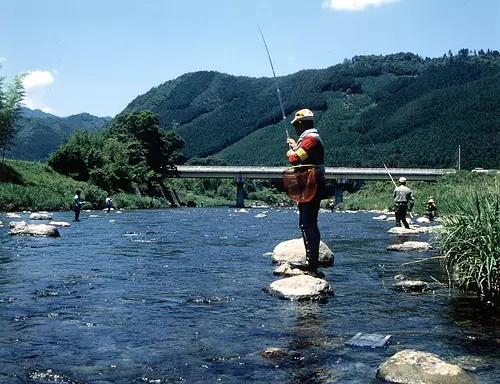 香鱼垂钓 (1)