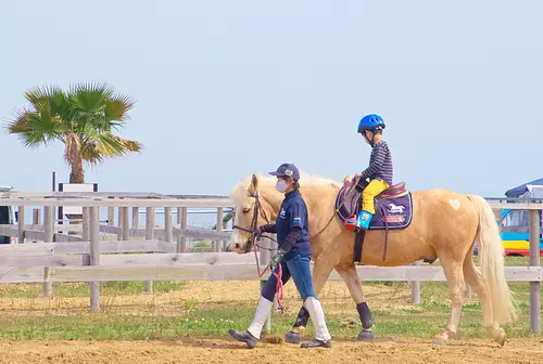 [Experiencia de paseo a caballo mirando el mar] Evento de paseo en pony