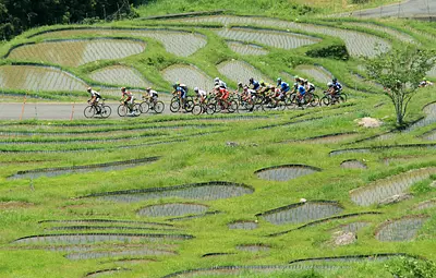 偕楽公園の桜…。