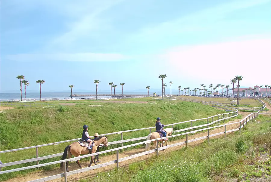 【海を見ながら乗馬体験】ポニーライドイベント