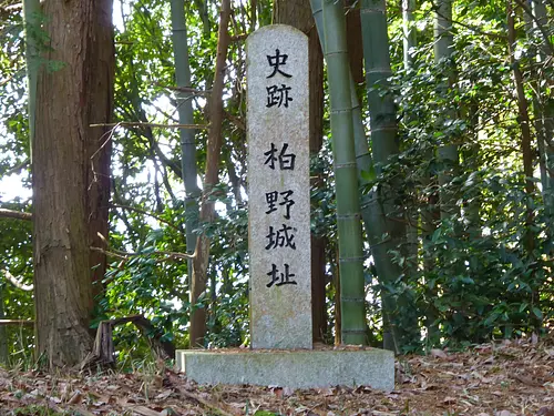 柏野城阯