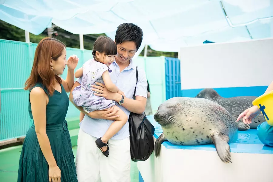 [The shock of having no sense of distance brings a smile] Greetings to the harbor seal Kao-chan