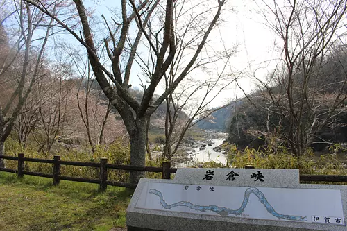 Sakura dans les gorges d'Iwakura